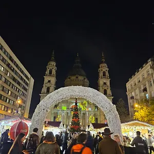Danube Bridge Budapesta